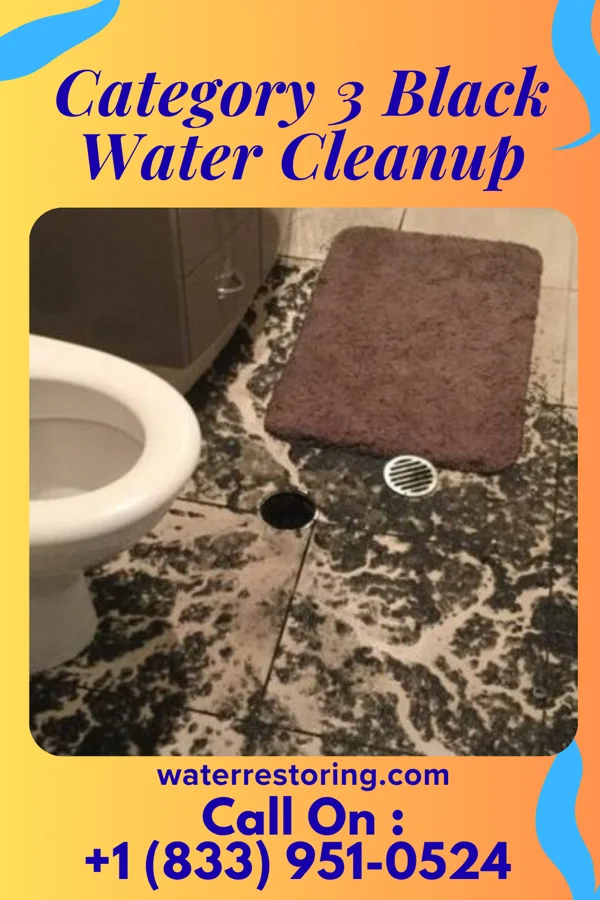 Category 3 Black Water Cleanup in Loma Vista, TX