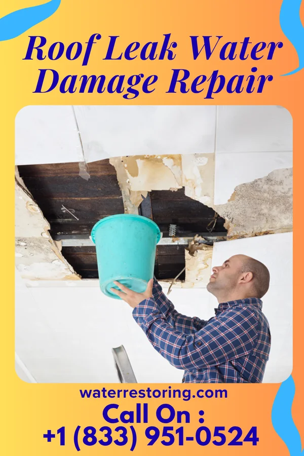 Roof Leak Water Damage Repair in Loma Vista, TX